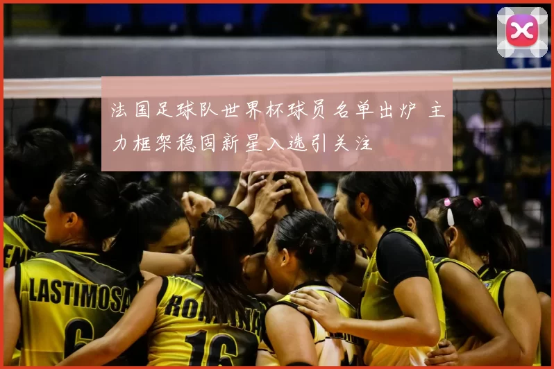 法国足球队世界杯球员名单出炉 主力框架稳固新星入选引关注