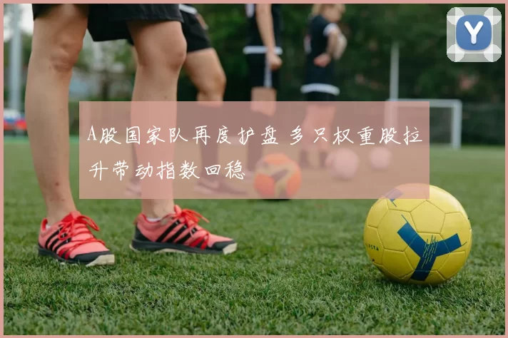 A股国家队再度护盘 多只权重股拉升带动指数回稳