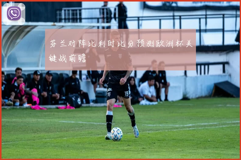 芬兰对阵比利时比分预测欧洲杯关键战前瞻