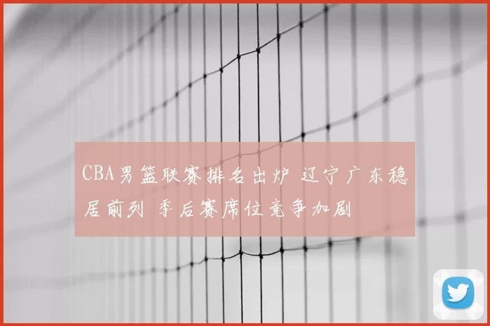 CBA男篮联赛排名出炉 辽宁广东稳居前列 季后赛席位竞争加剧