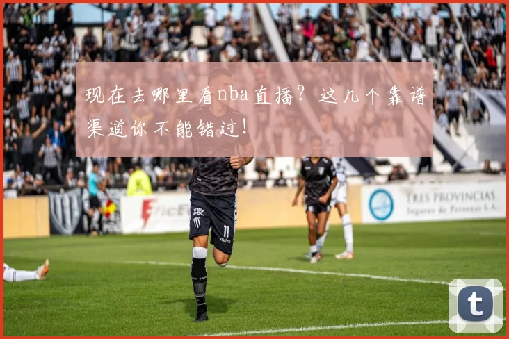 现在去哪里看nba直播？这几个靠谱渠道你不能错过！