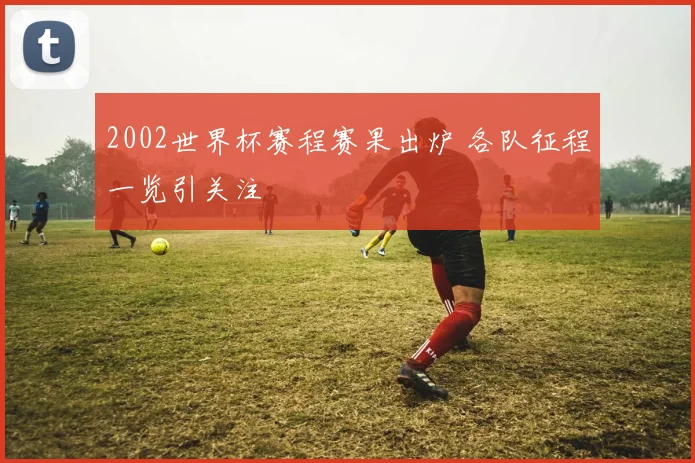 2002世界杯赛程赛果出炉 各队征程一览引关注