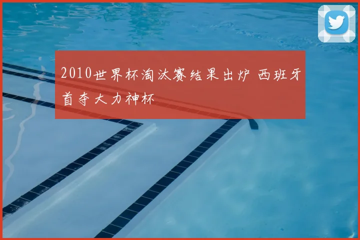2010世界杯淘汰赛结果出炉 西班牙首夺大力神杯